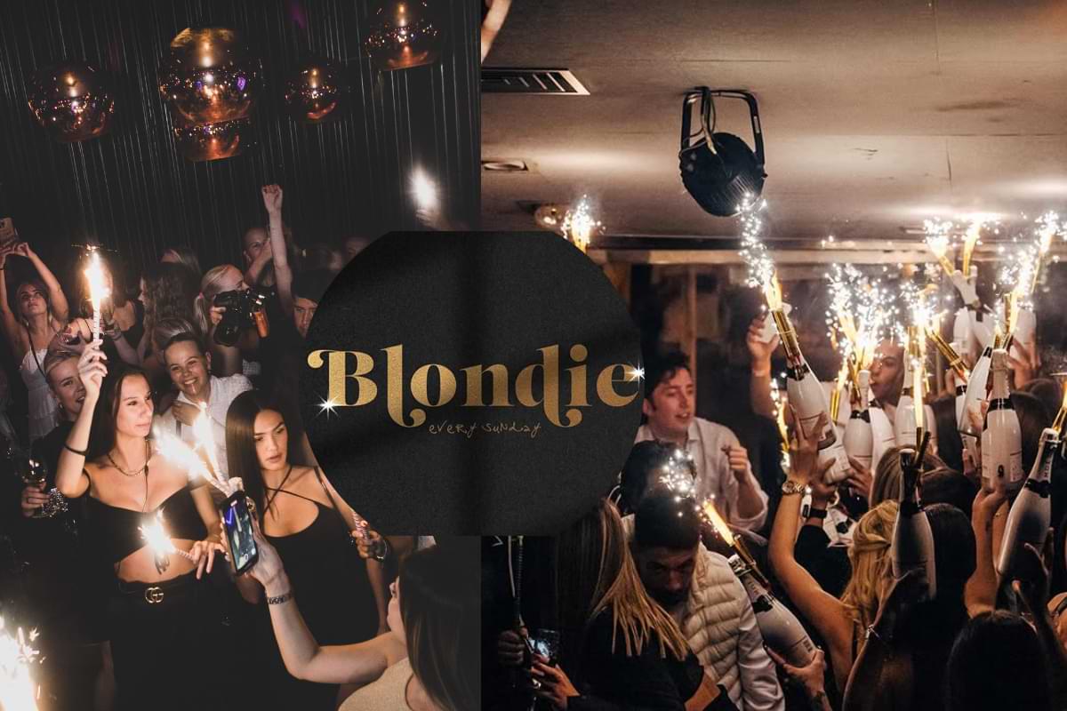blondie domingos sunday nubcn thefamily